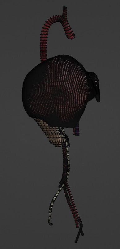 3D Model of Abdominal Organs and Veins 3D model_3