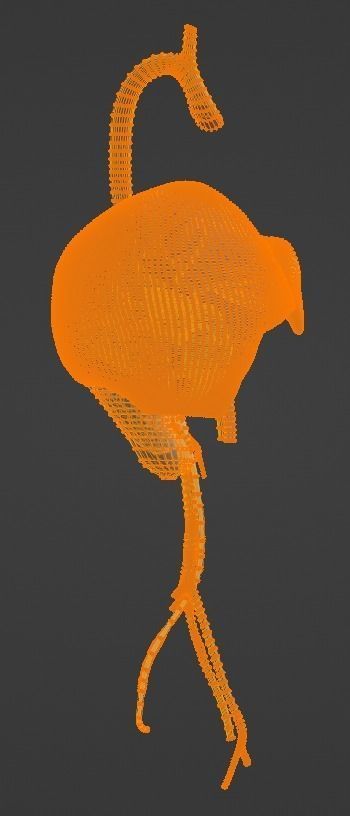 3D Model of Abdominal Organs and Veins 3D model_2