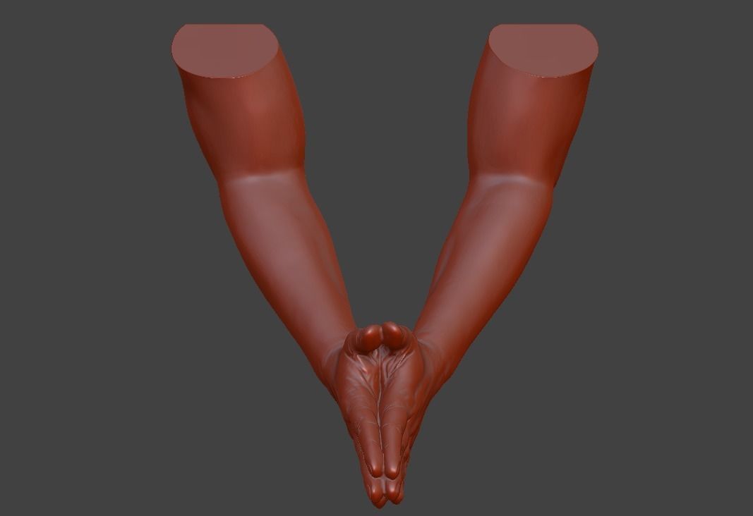 hands clasped praying  3D print model_34
