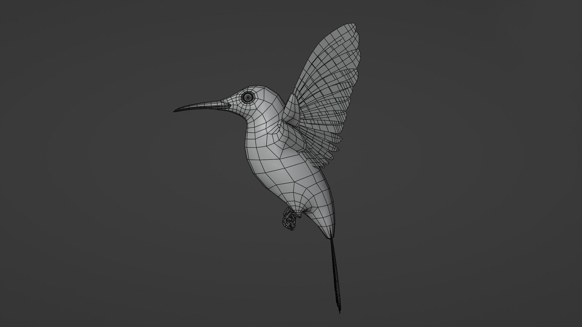 Hummingbird  Low-poly 3D model_10