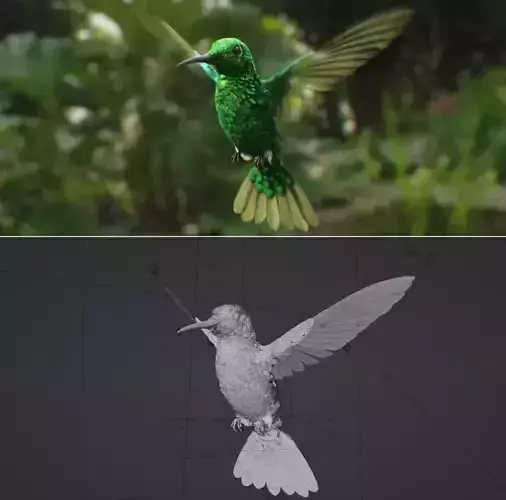 Hummingbird  Low-poly 3D model