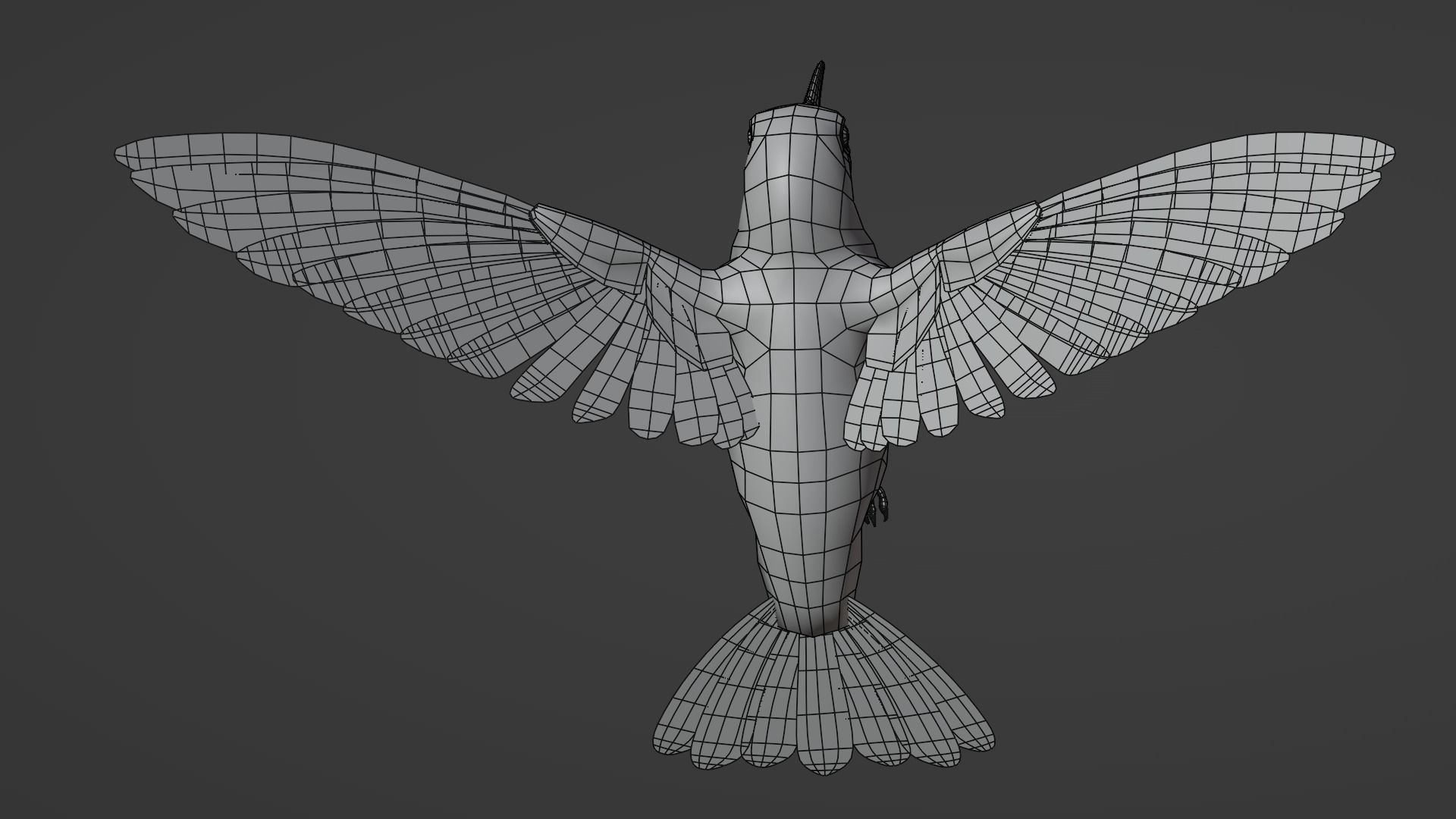 Hummingbird  Low-poly 3D model_9