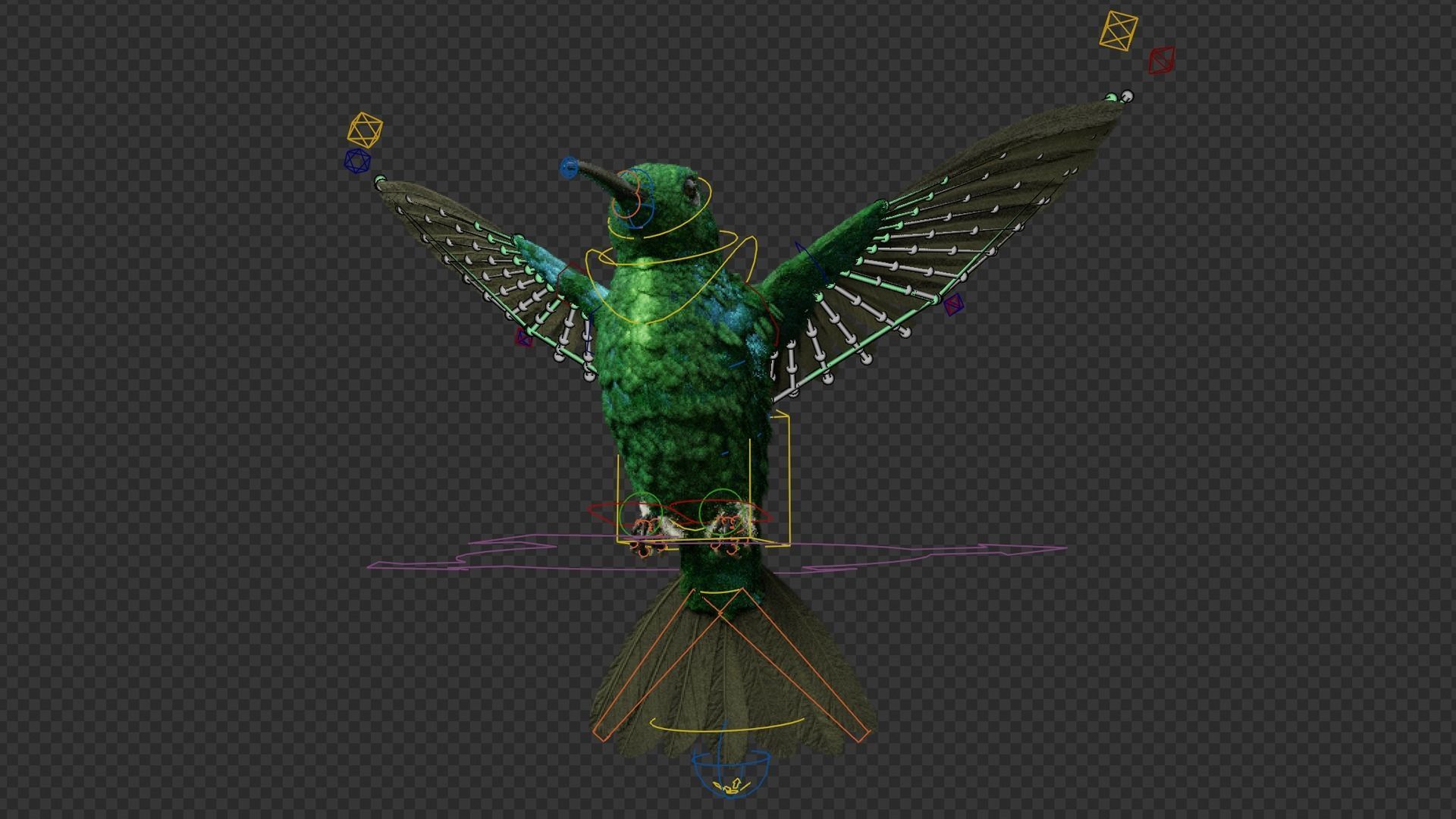 Hummingbird  Low-poly 3D model_5