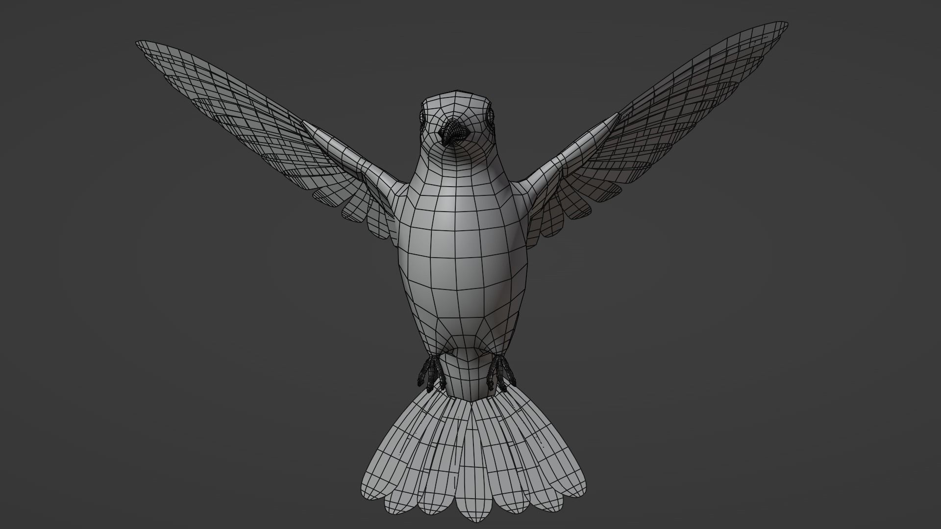 Hummingbird  Low-poly 3D model_11