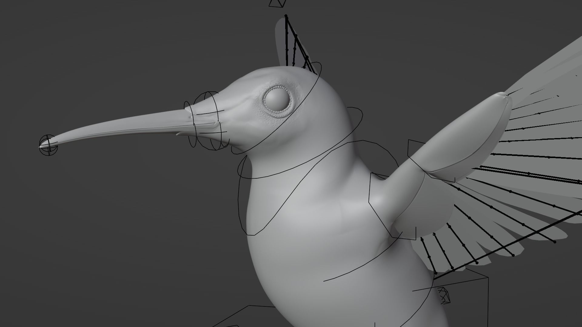 Hummingbird  Low-poly 3D model_7