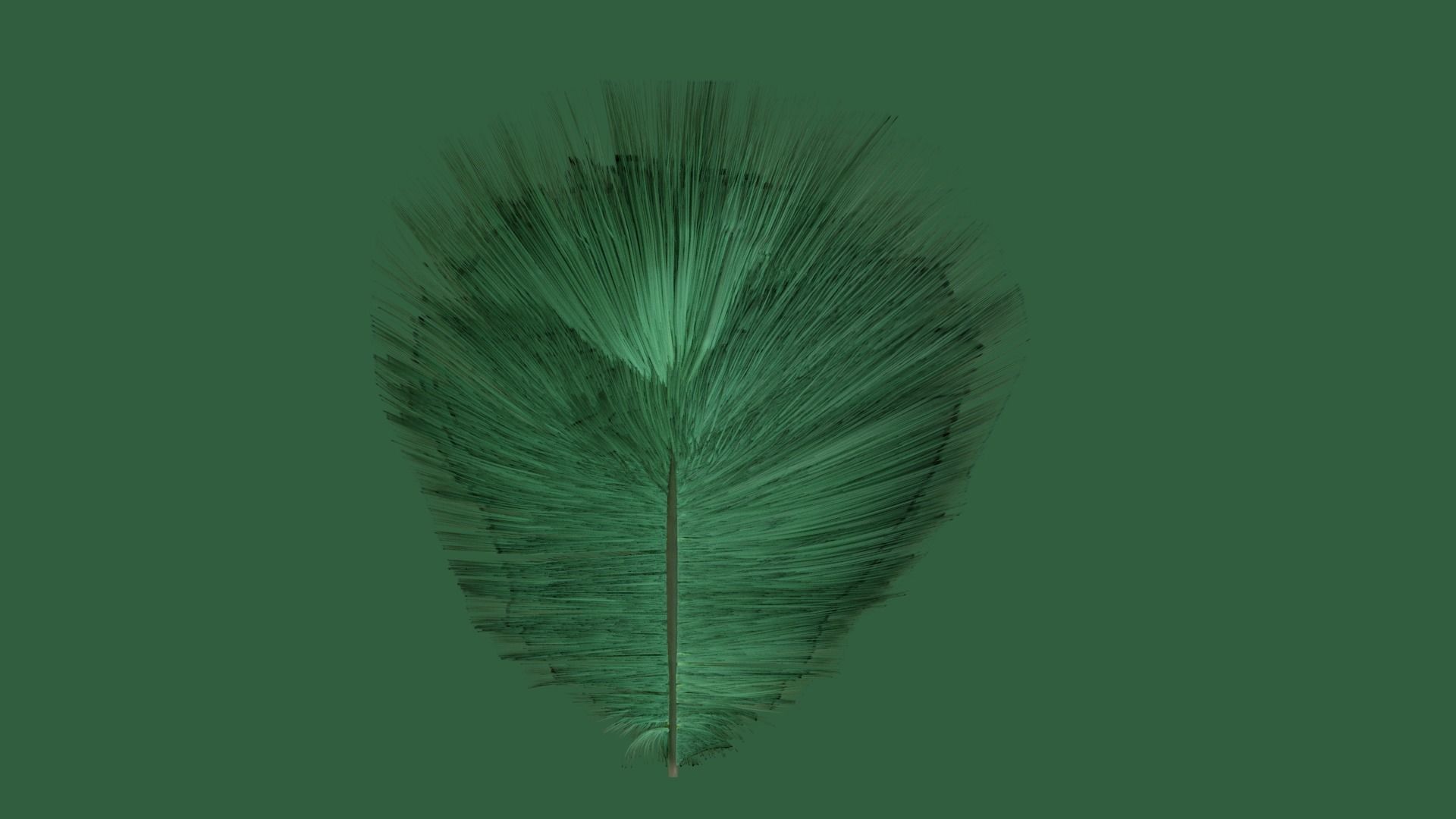 Hummingbird  Low-poly 3D model_8