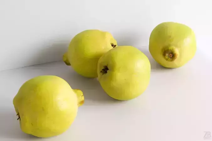Quince 3D model