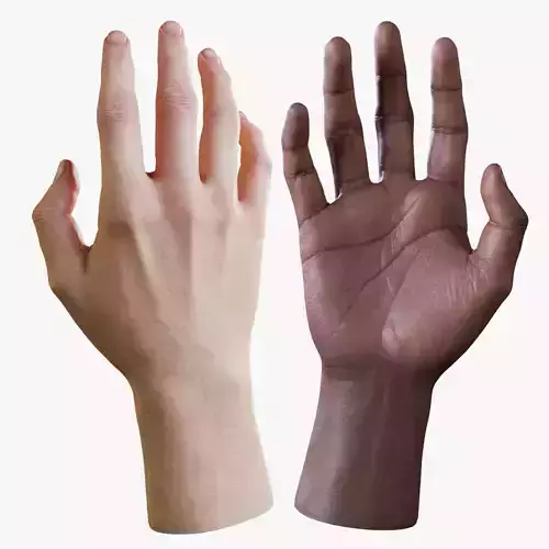 Realistic Human Hand Low-poly 3D model