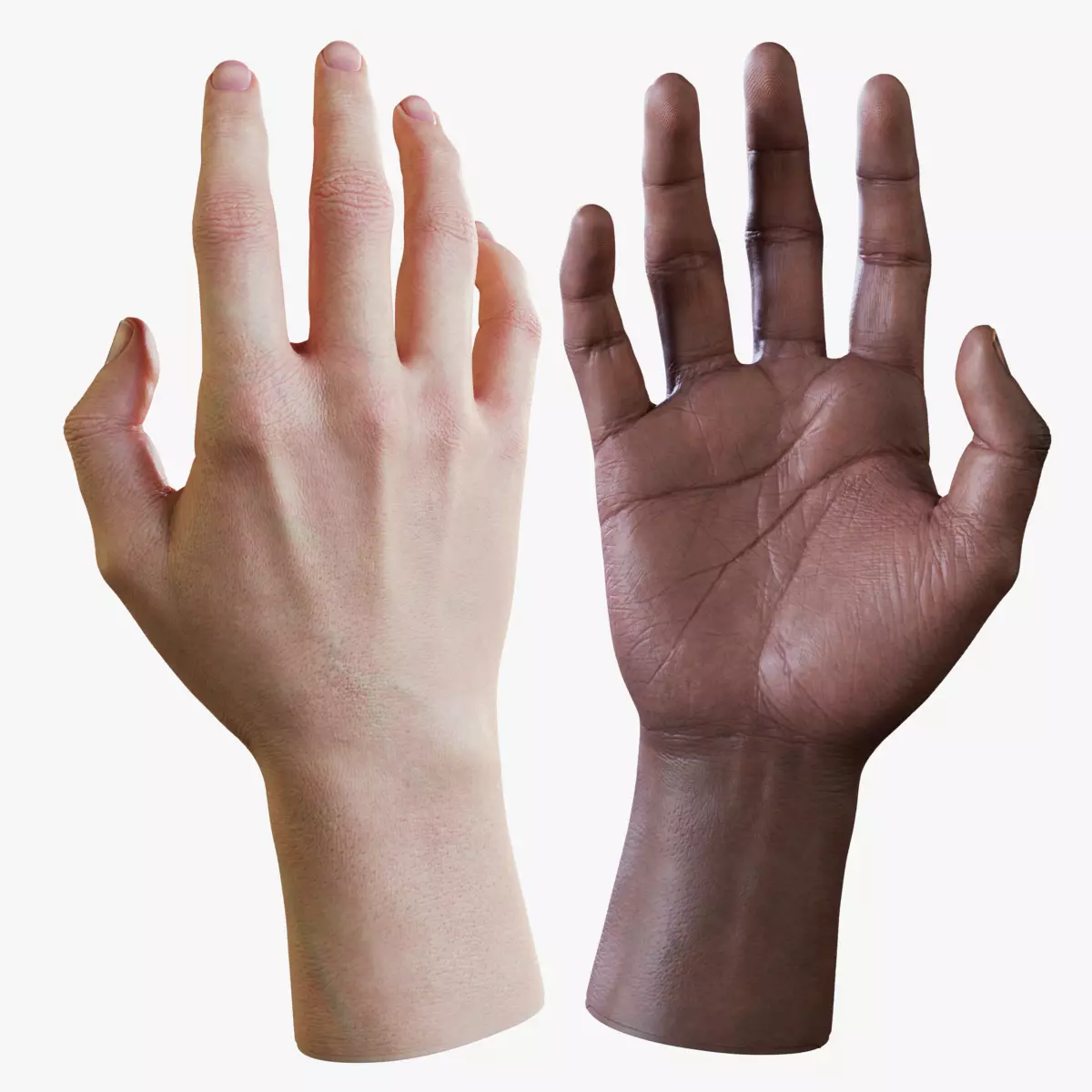 Realistic Human Hand Low-poly 3D model_0