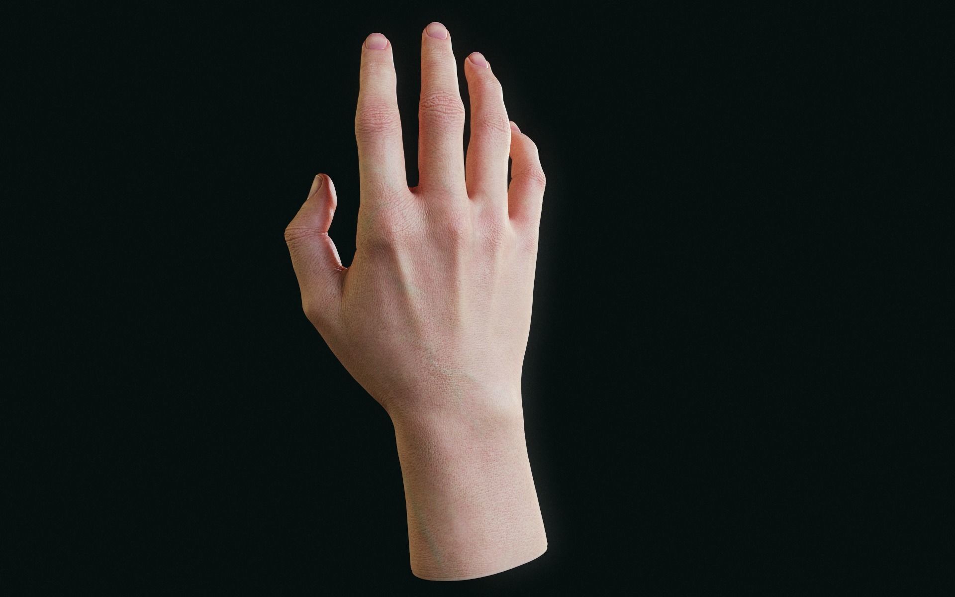 Realistic Human Hand Low-poly 3D model_4