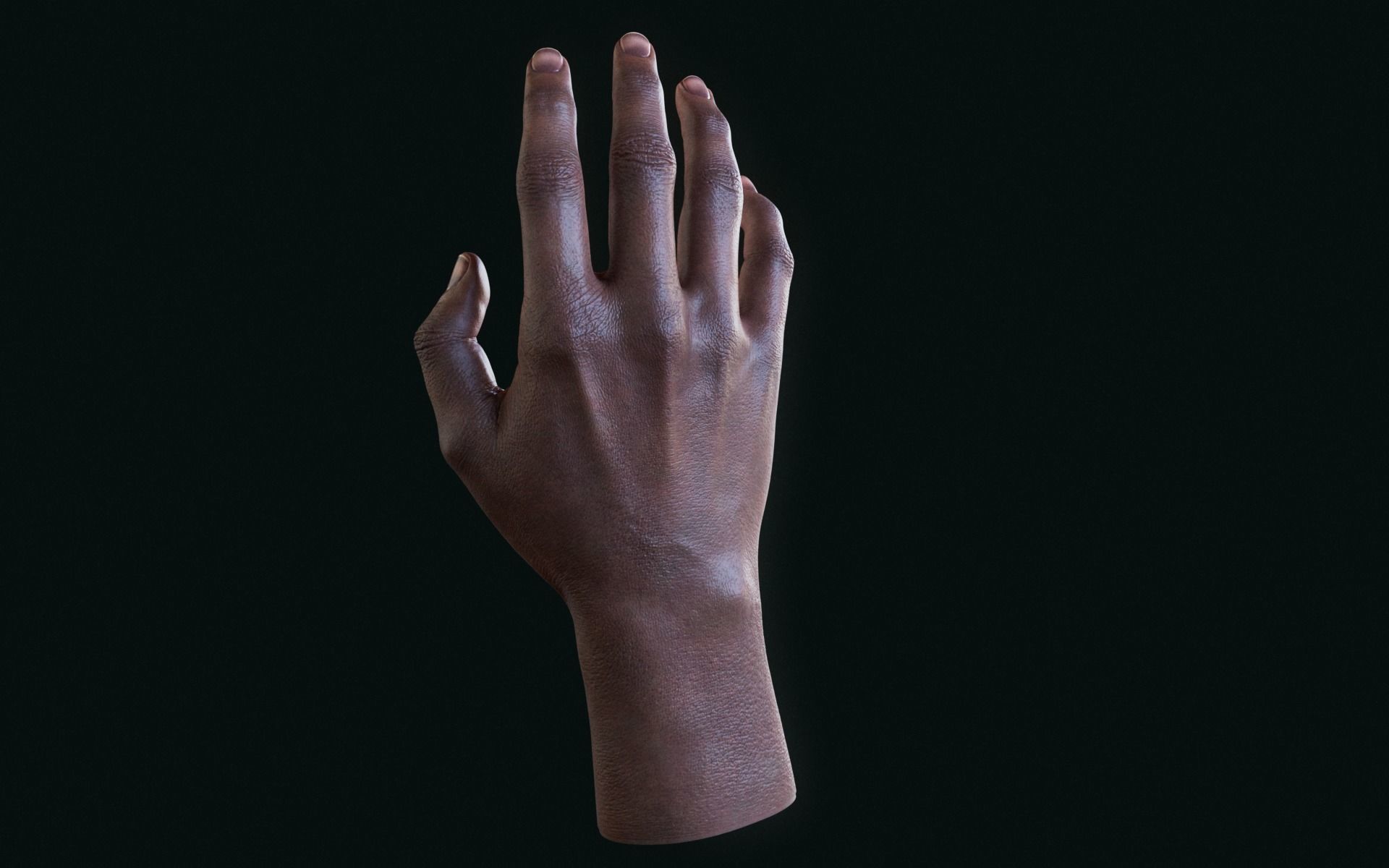 Realistic Human Hand Low-poly 3D model_5