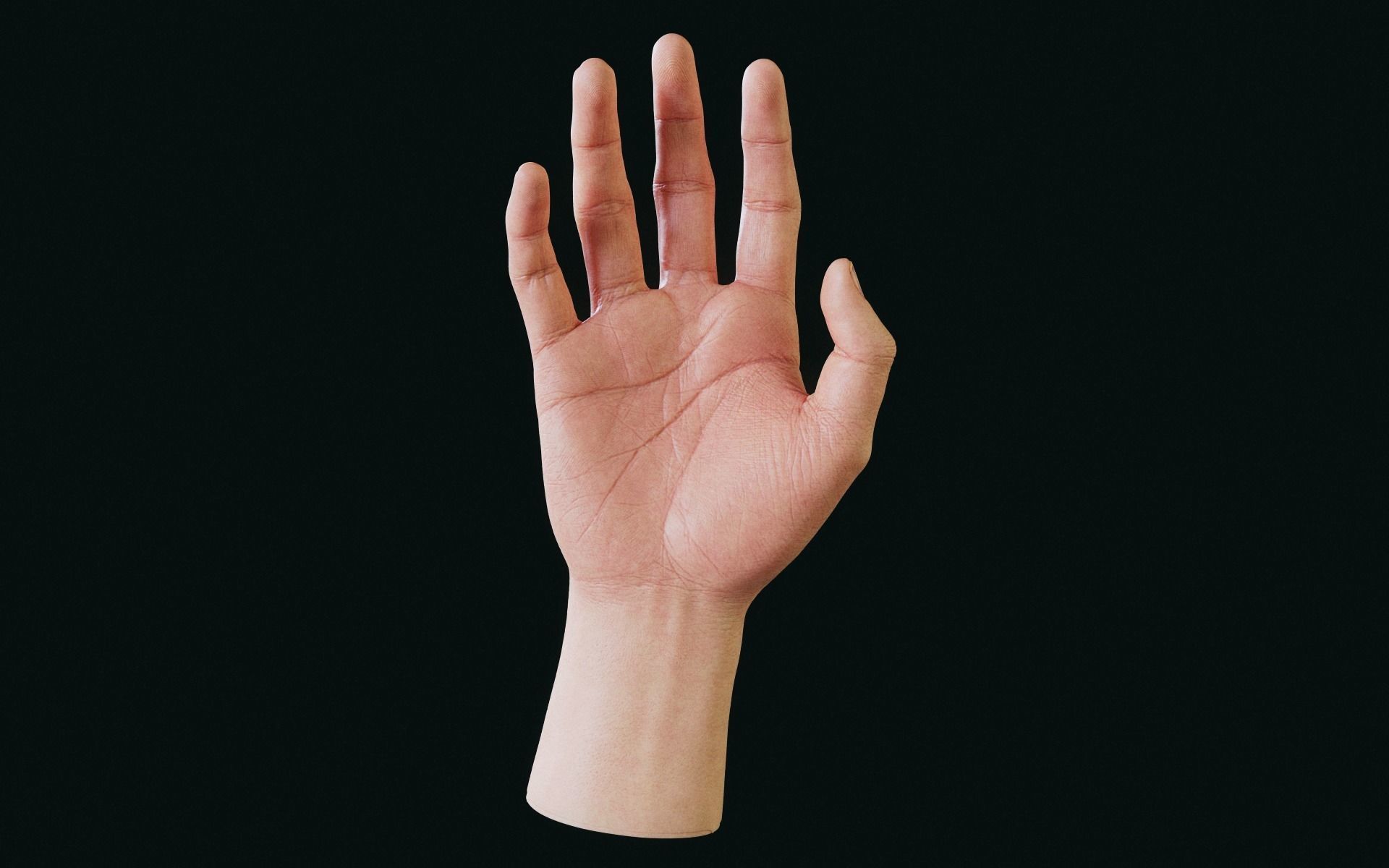 Realistic Human Hand Low-poly 3D model_2