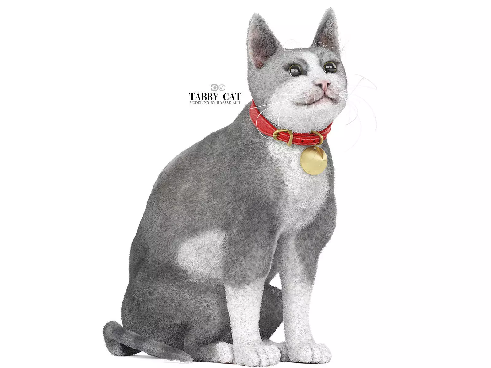 tabby cat 3D model