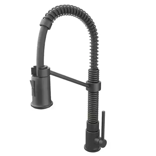 Elegant Dual Function Kitchen Faucet in AllBrite Black Finish