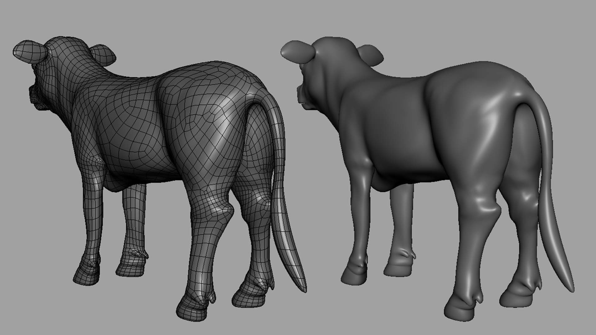 Baby Cow or Calf Low-poly 3D model_2
