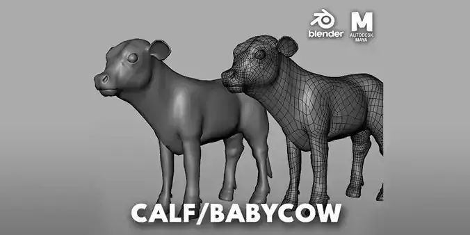 Baby Cow or Calf Low-poly 3D model