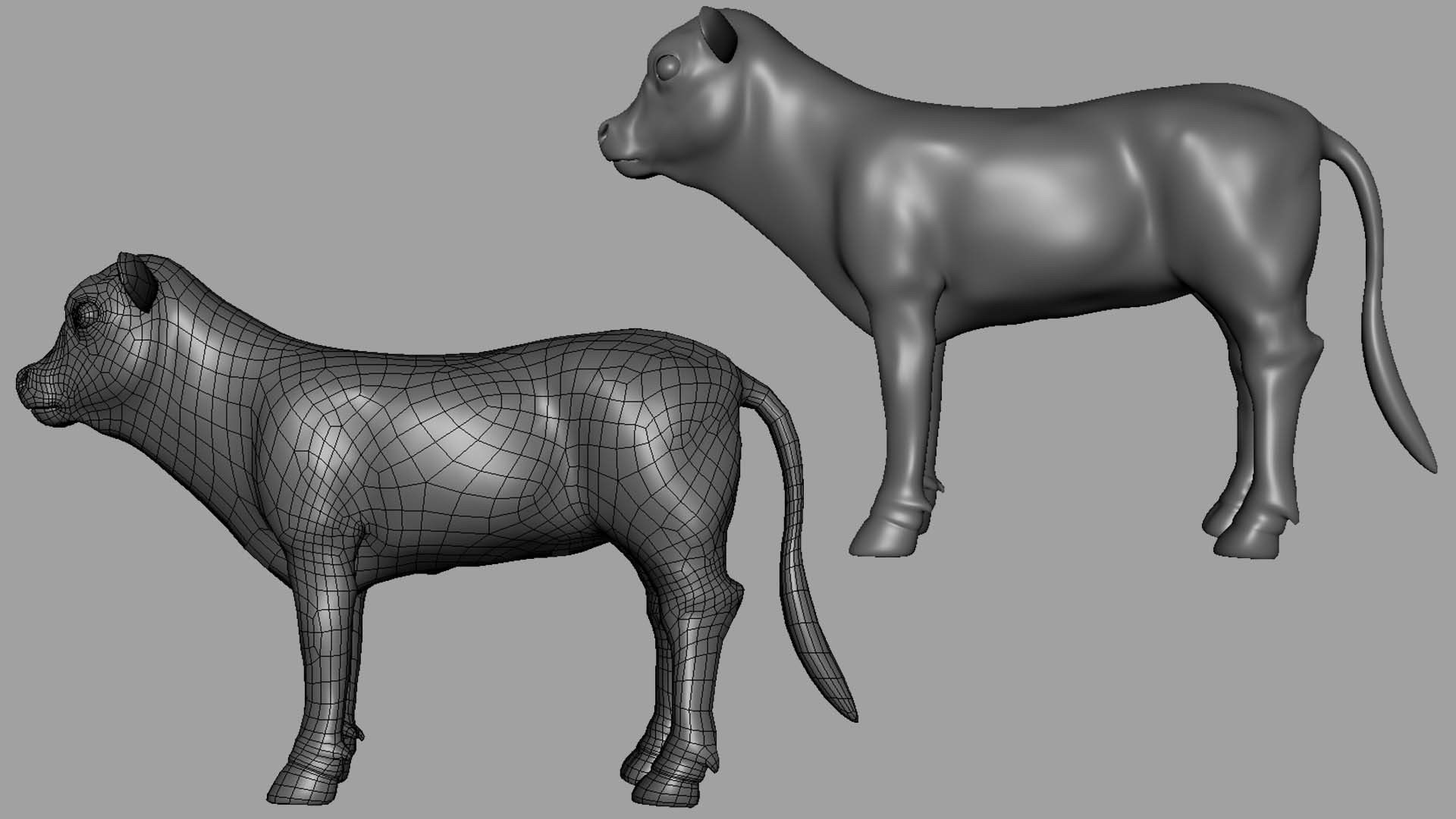 Baby Cow or Calf Low-poly 3D model_1