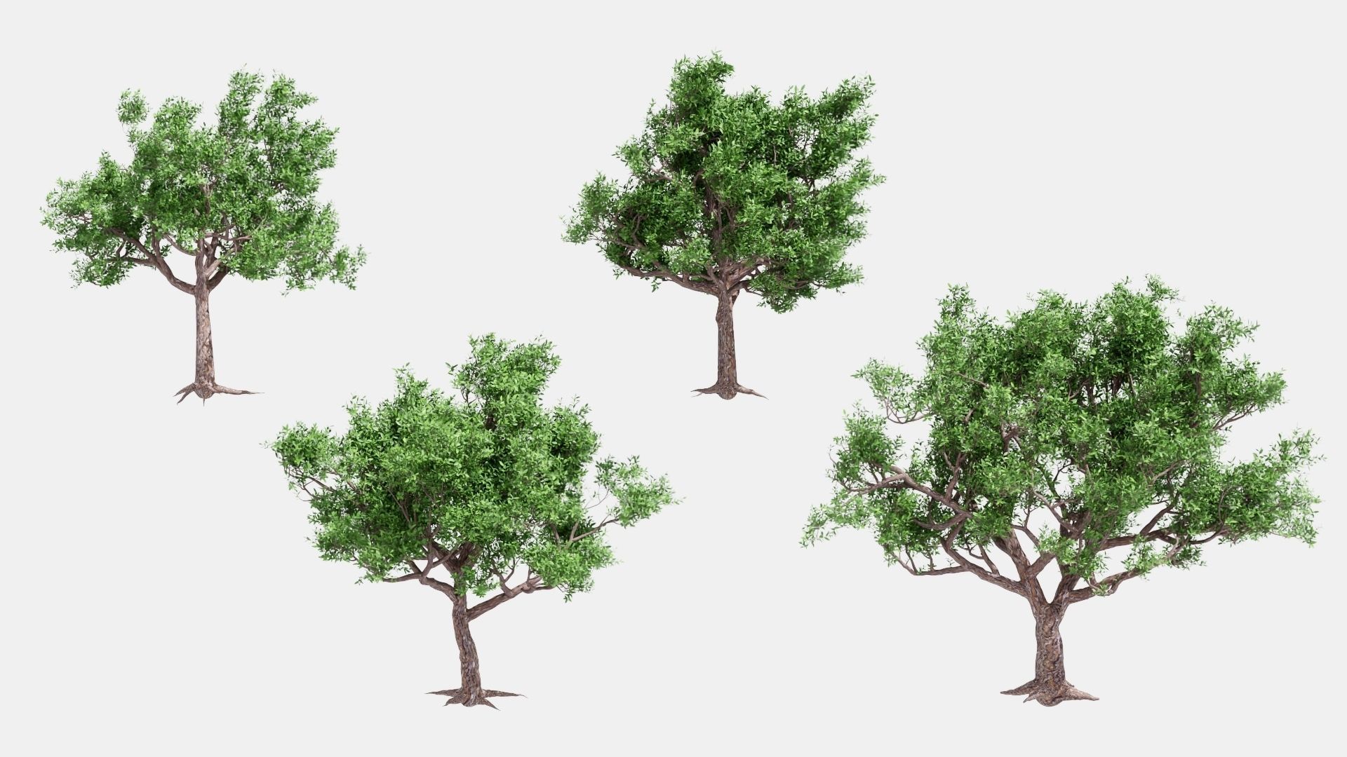 Model tree010 with looped wind animation 3D model_16