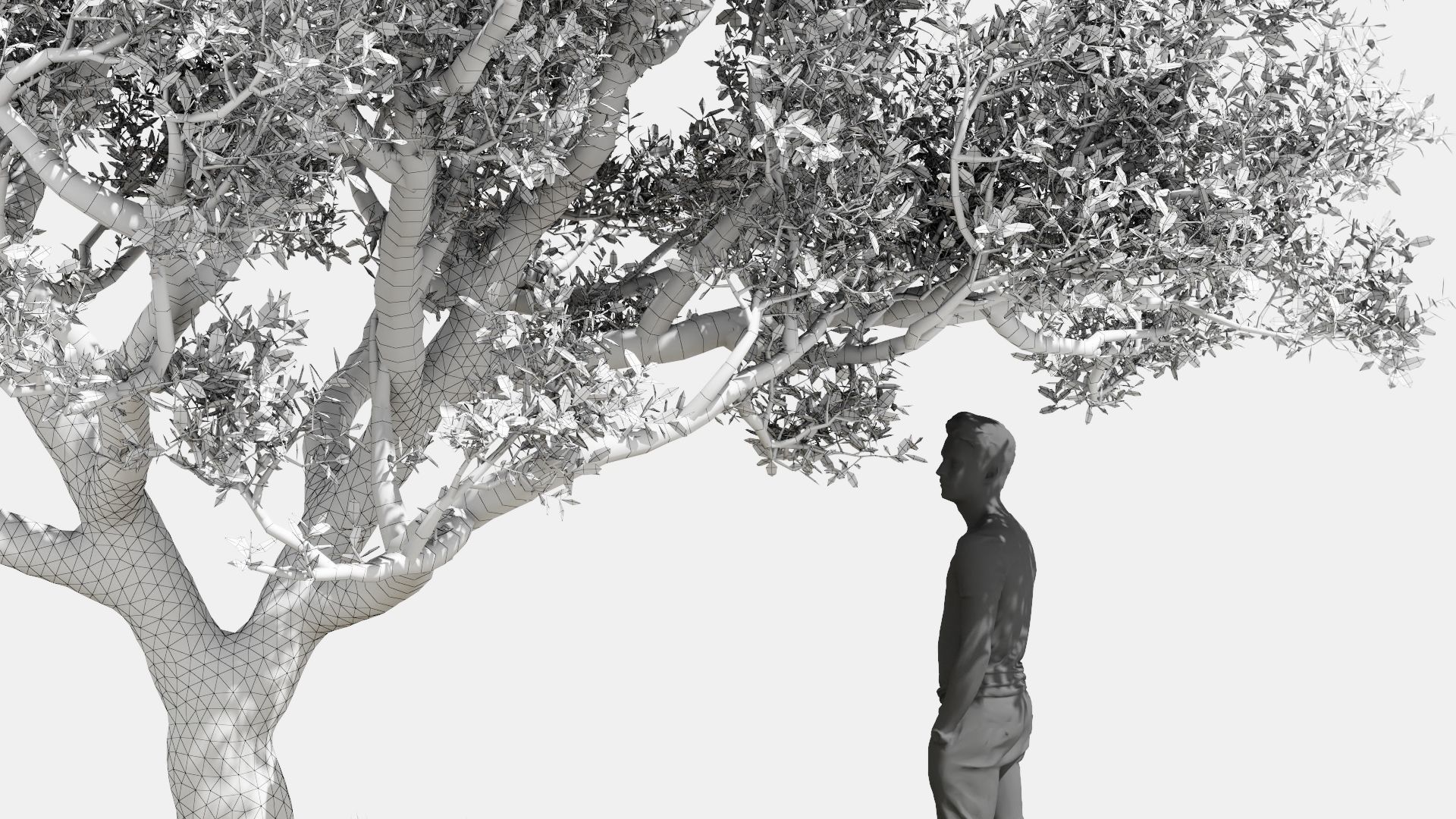 Model tree010 with looped wind animation 3D model_11