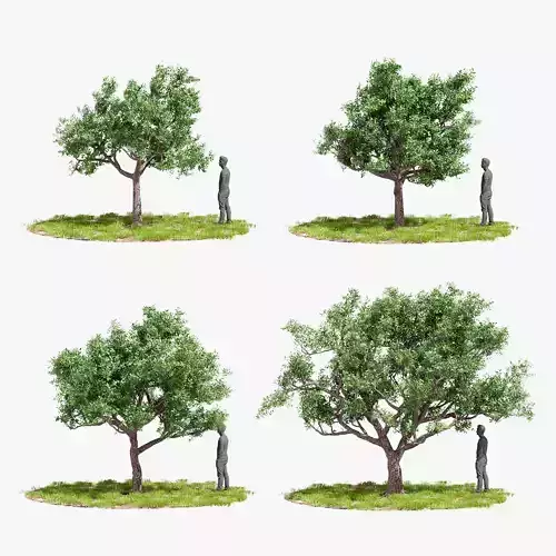 Model tree010 with looped wind animation 3D model