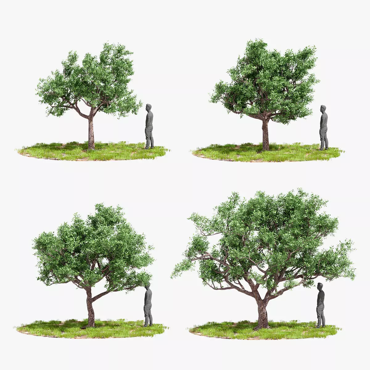 Model tree010 with looped wind animation 3D model_0