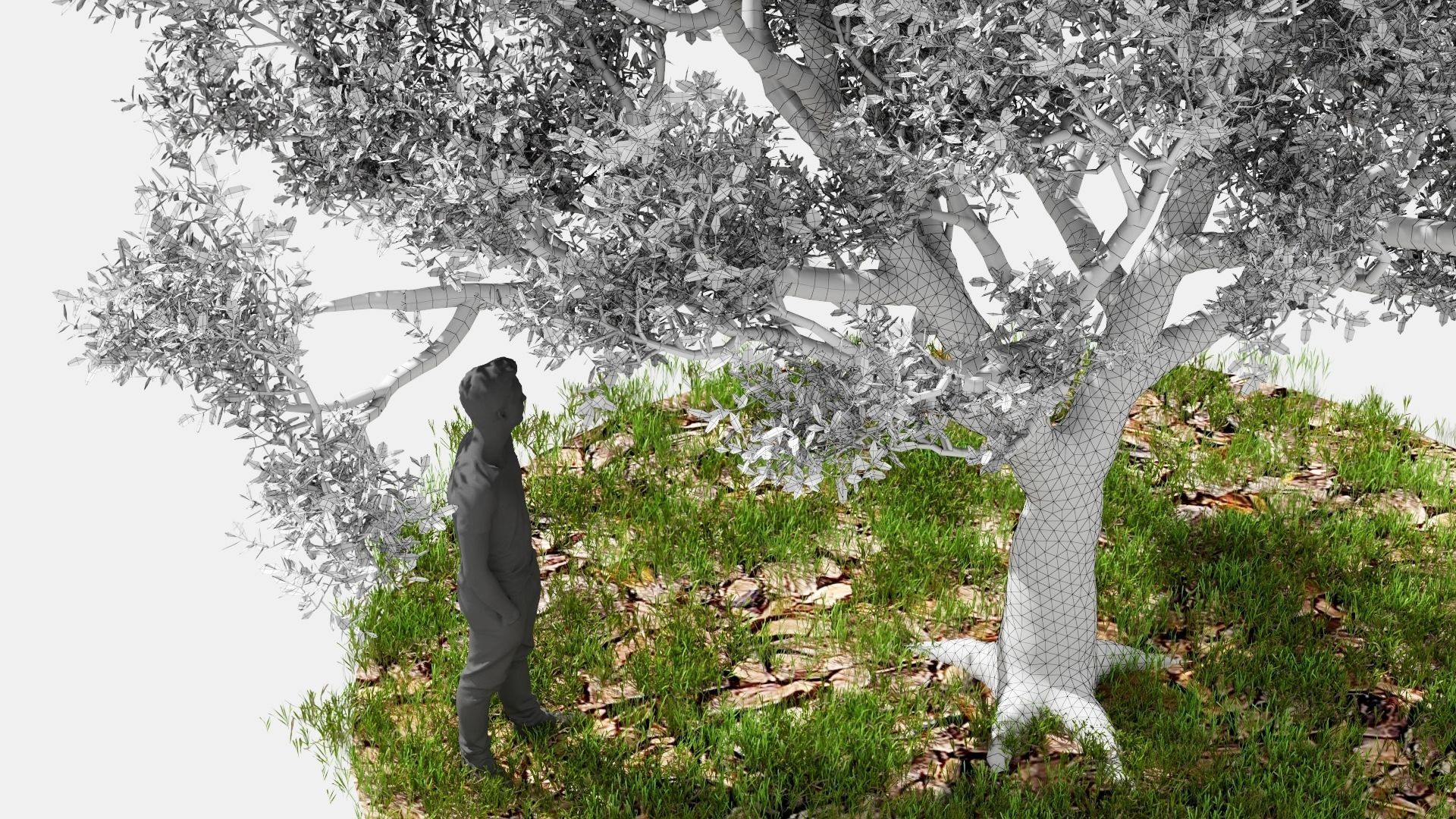 Model tree010 with looped wind animation 3D model_15