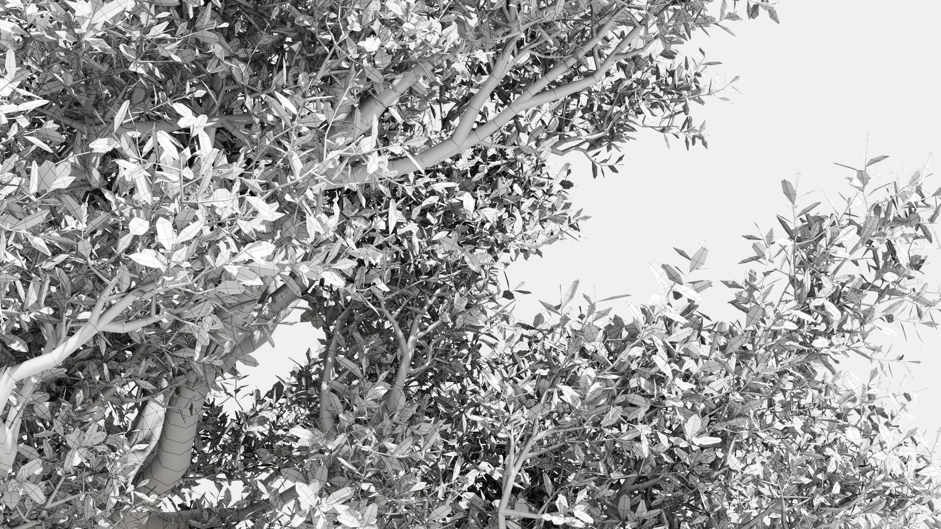 Model tree010 with looped wind animation 3D model_13