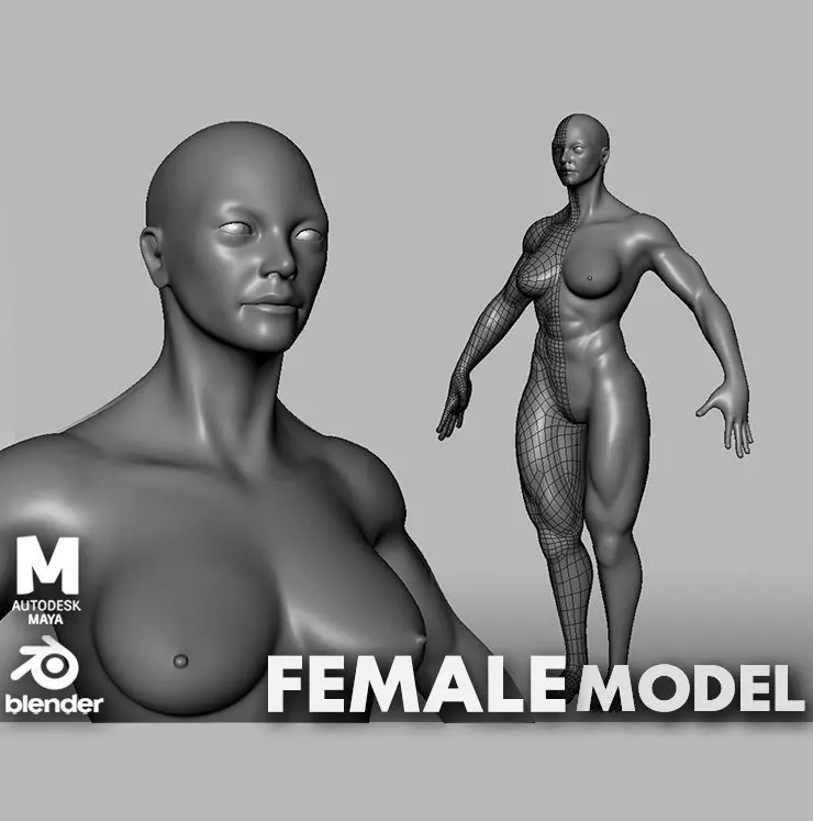 Muscular Female Anatomy BaseMesh  Low-poly 3D model_0