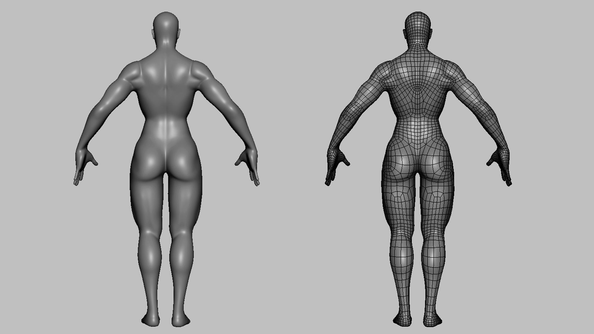 Muscular Female Anatomy BaseMesh  Low-poly 3D model_6