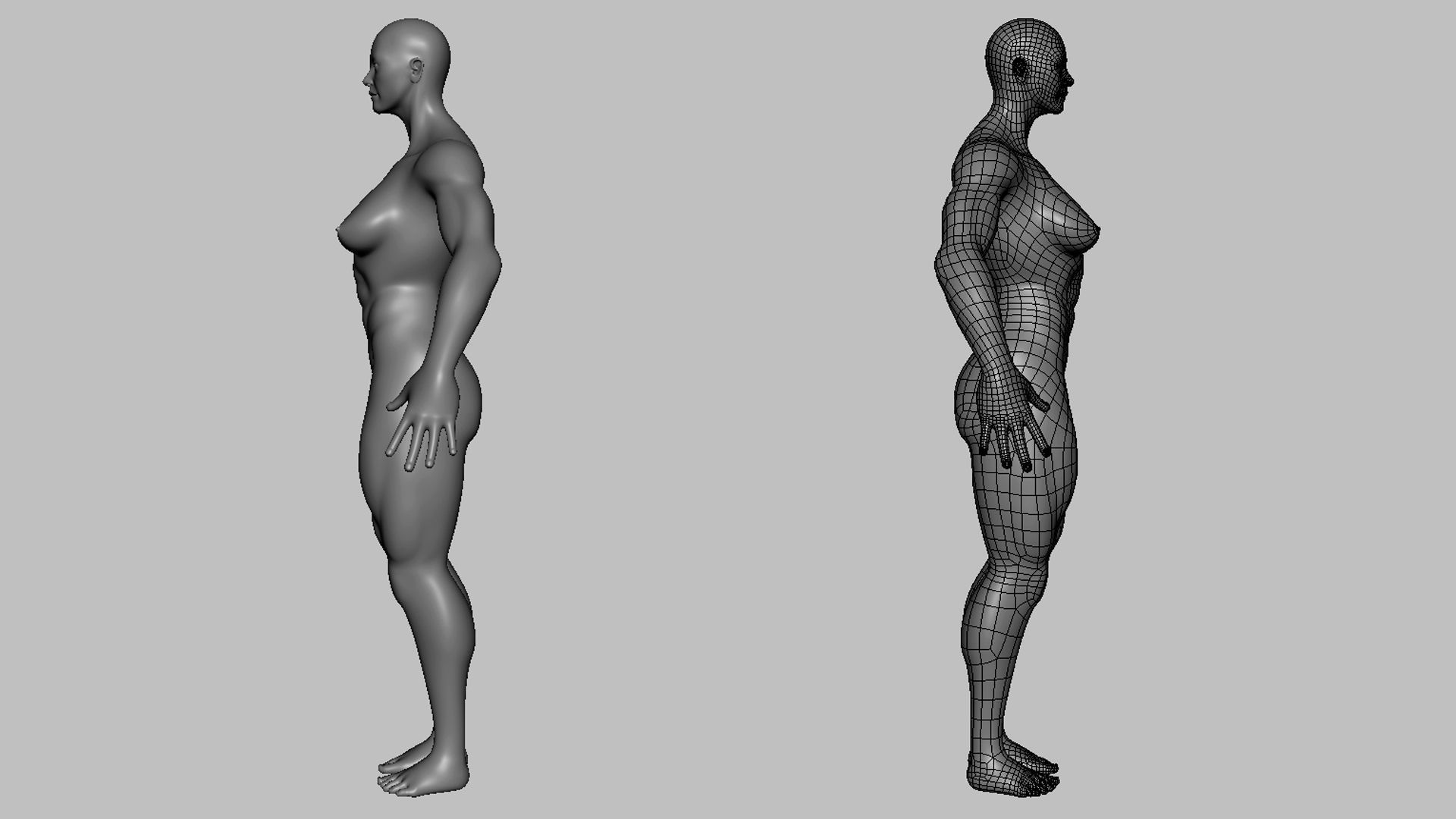 Muscular Female Anatomy BaseMesh  Low-poly 3D model_4