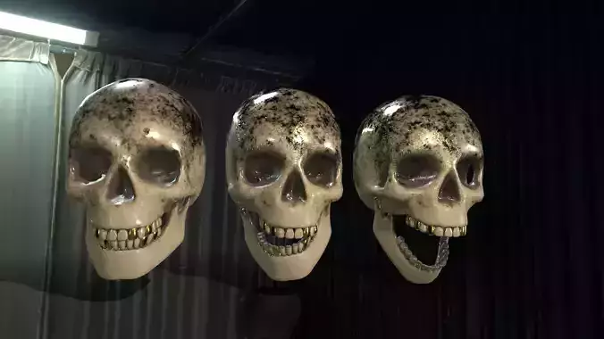 Pirate skull