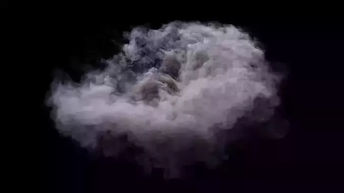 Smoke Fuild FX 3D model