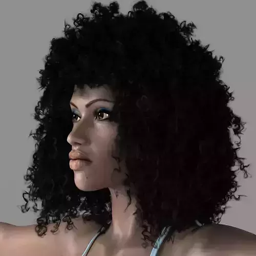 Afro Curly Hairstyle