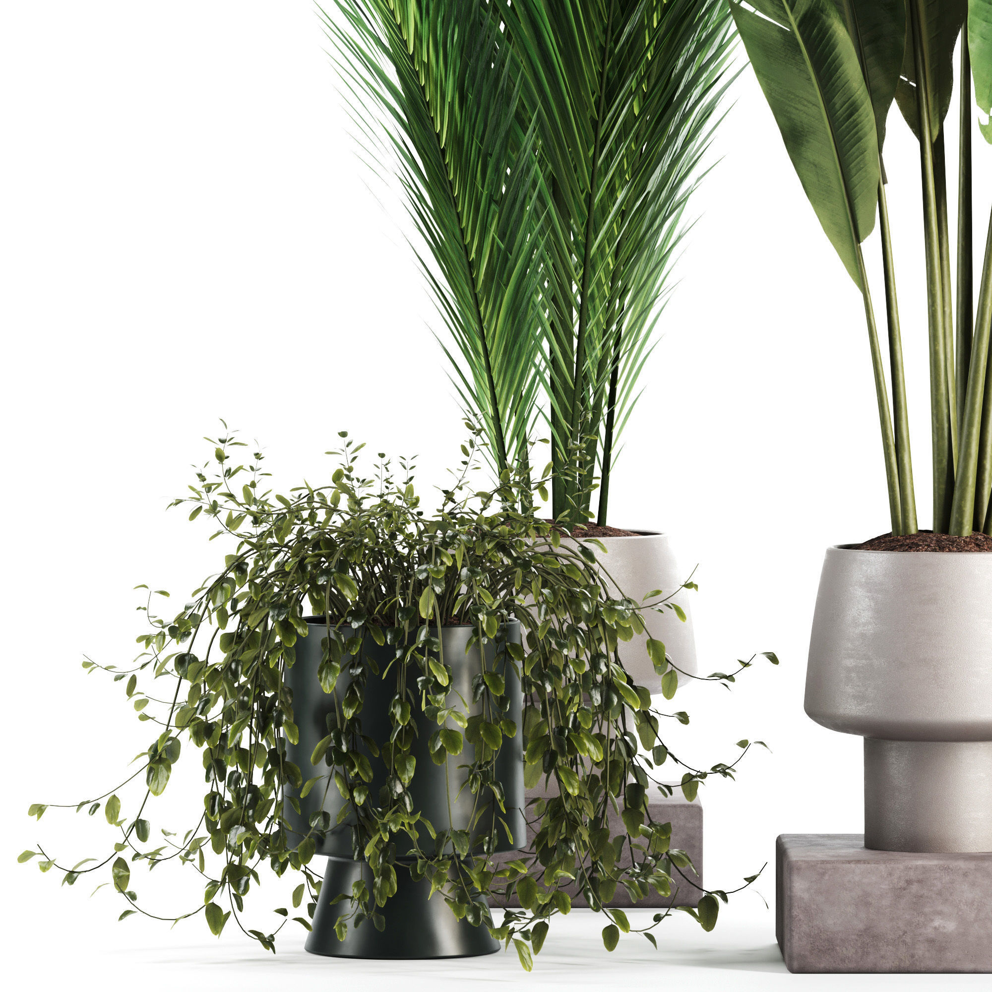  Indoor Plant set 35 3D model_3