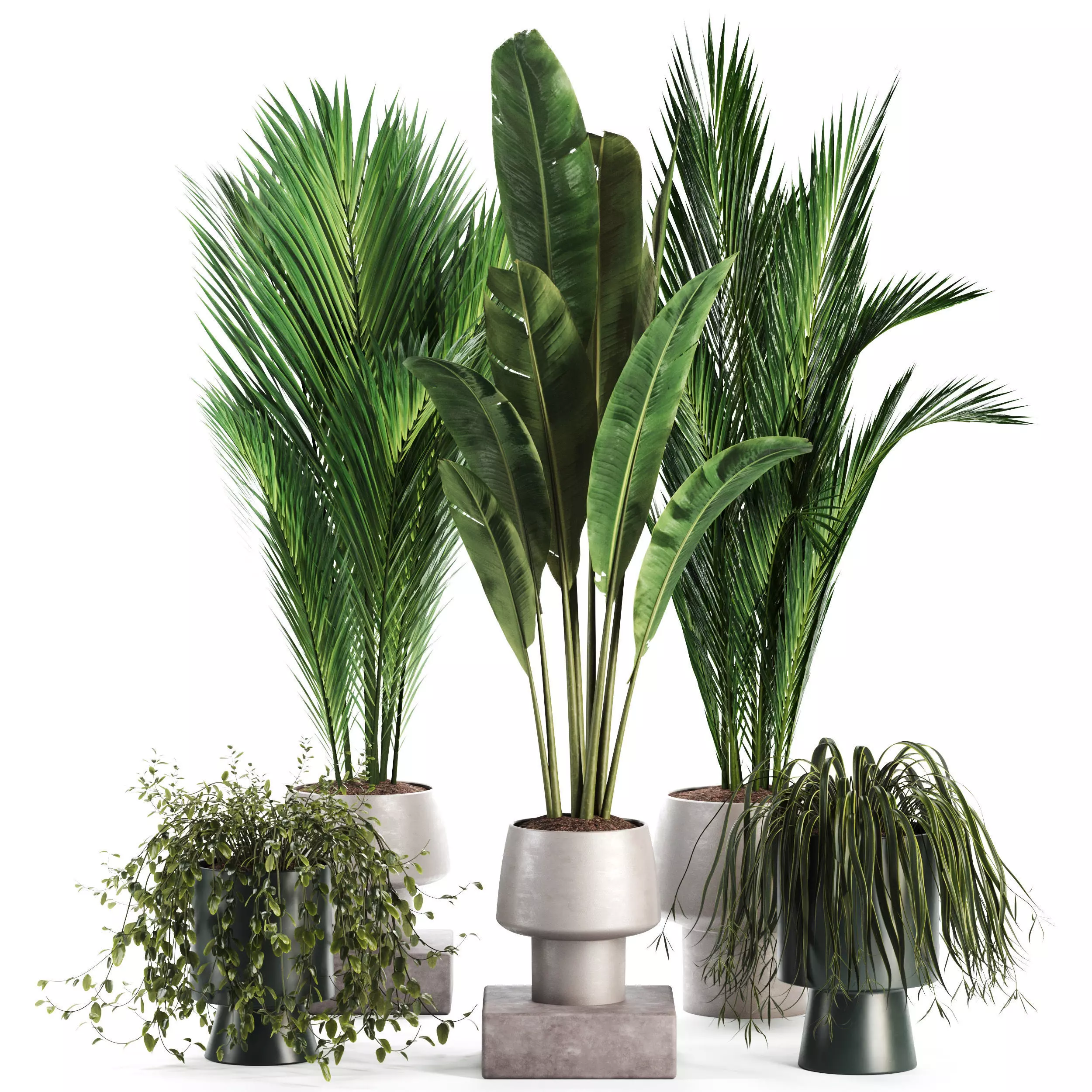  Indoor Plant set 35 3D model_0