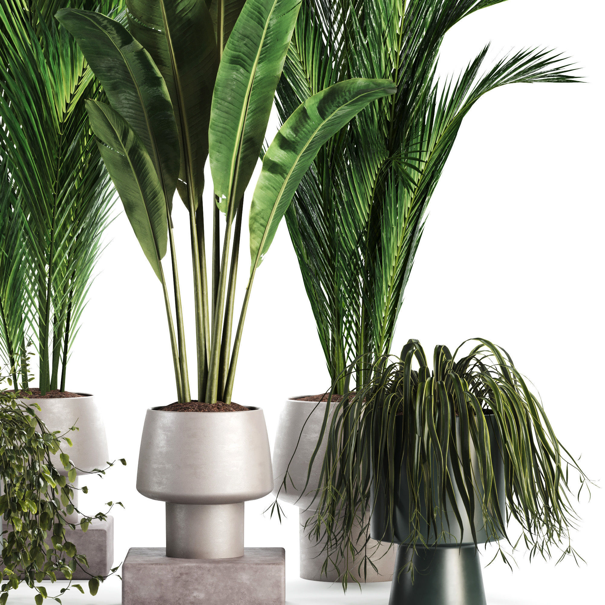  Indoor Plant set 35 3D model_2