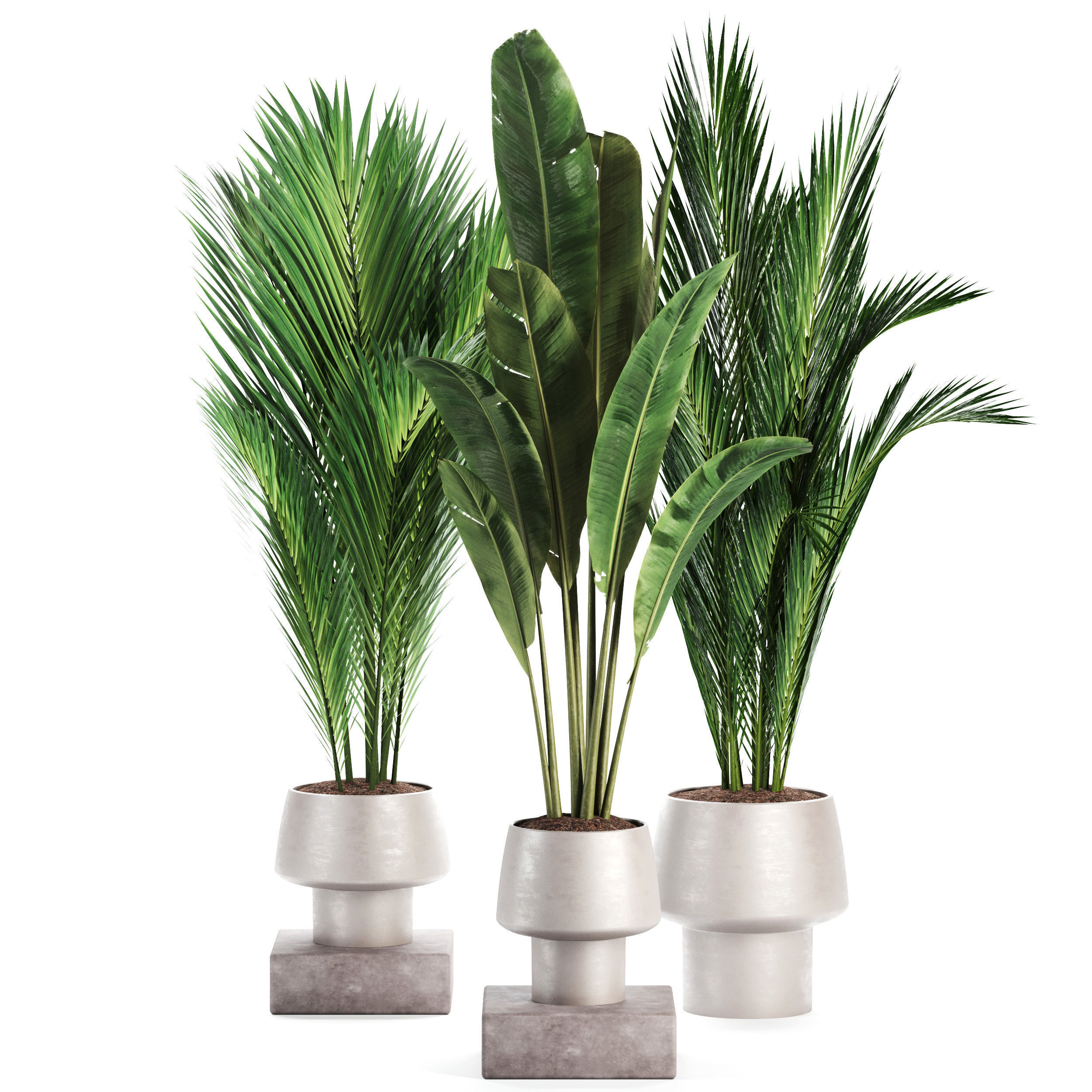 Indoor Plant set 35 3D model_1