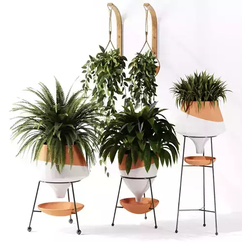 Indoor Plant set 38