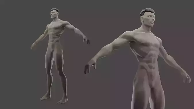 Stylized Male sculpt Free 3D model