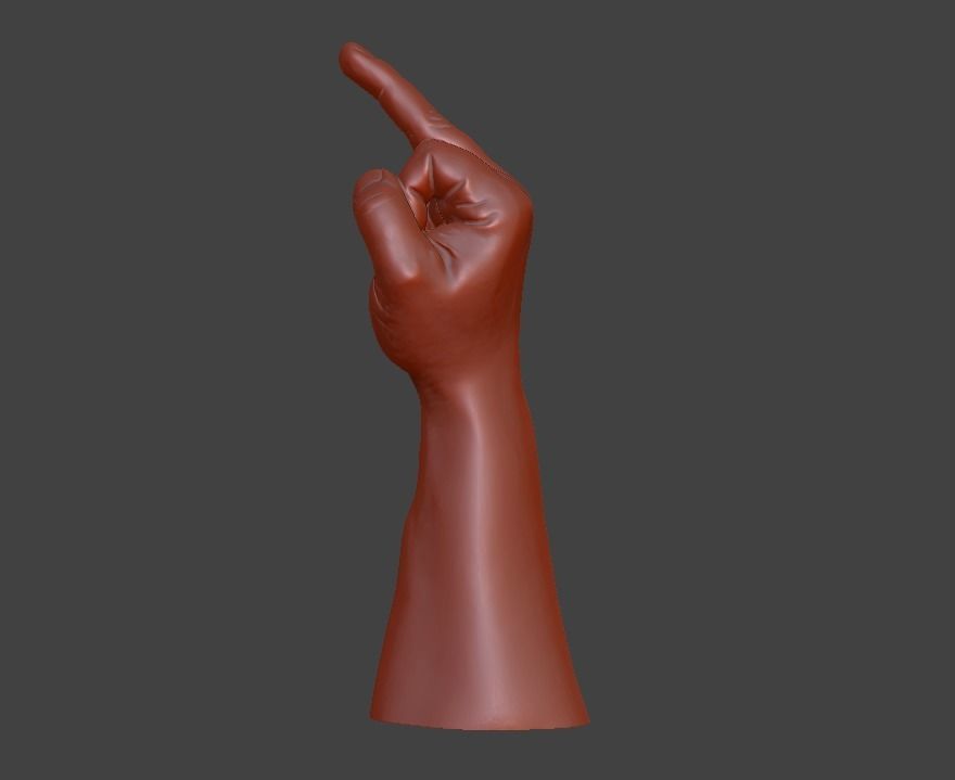 hand middle finger 3D print model_25