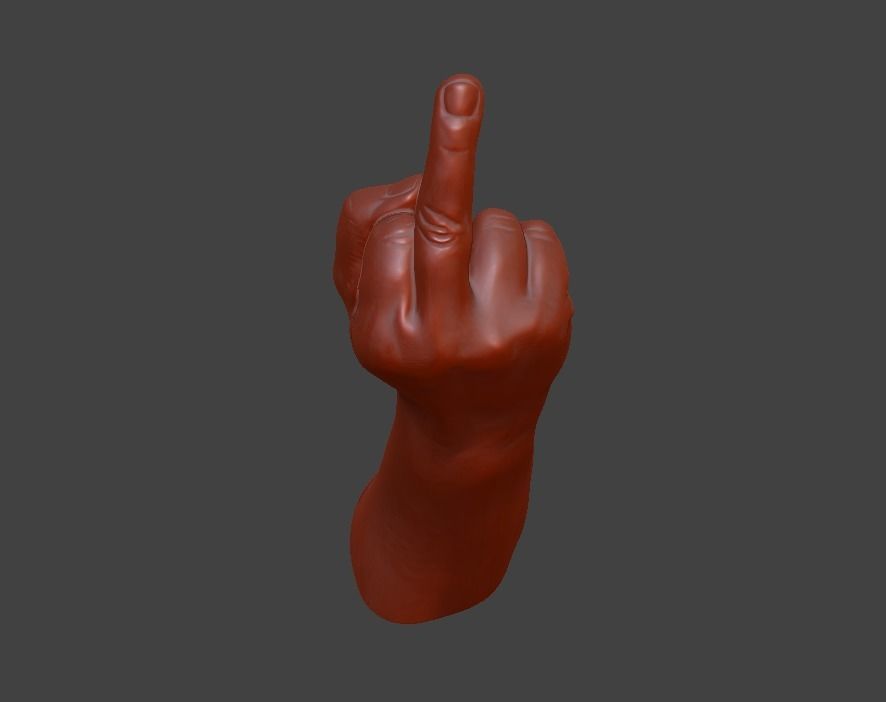 hand middle finger 3D print model_1