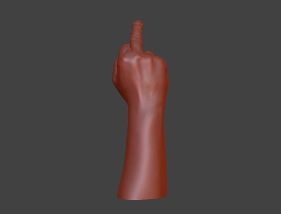 hand middle finger 3D print model_19