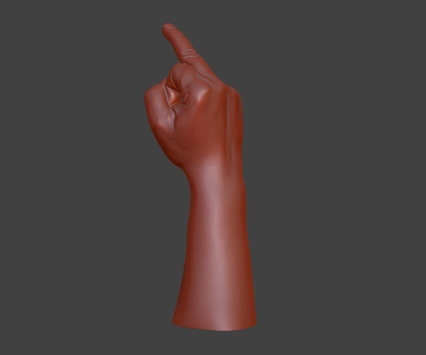 hand middle finger 3D print model_26