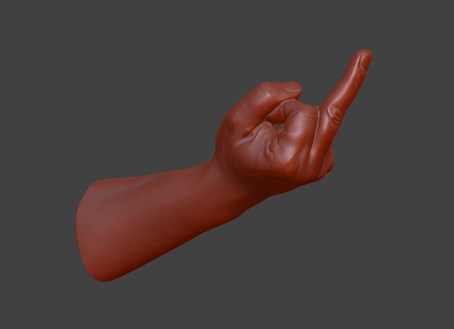 hand middle finger 3D print model_3