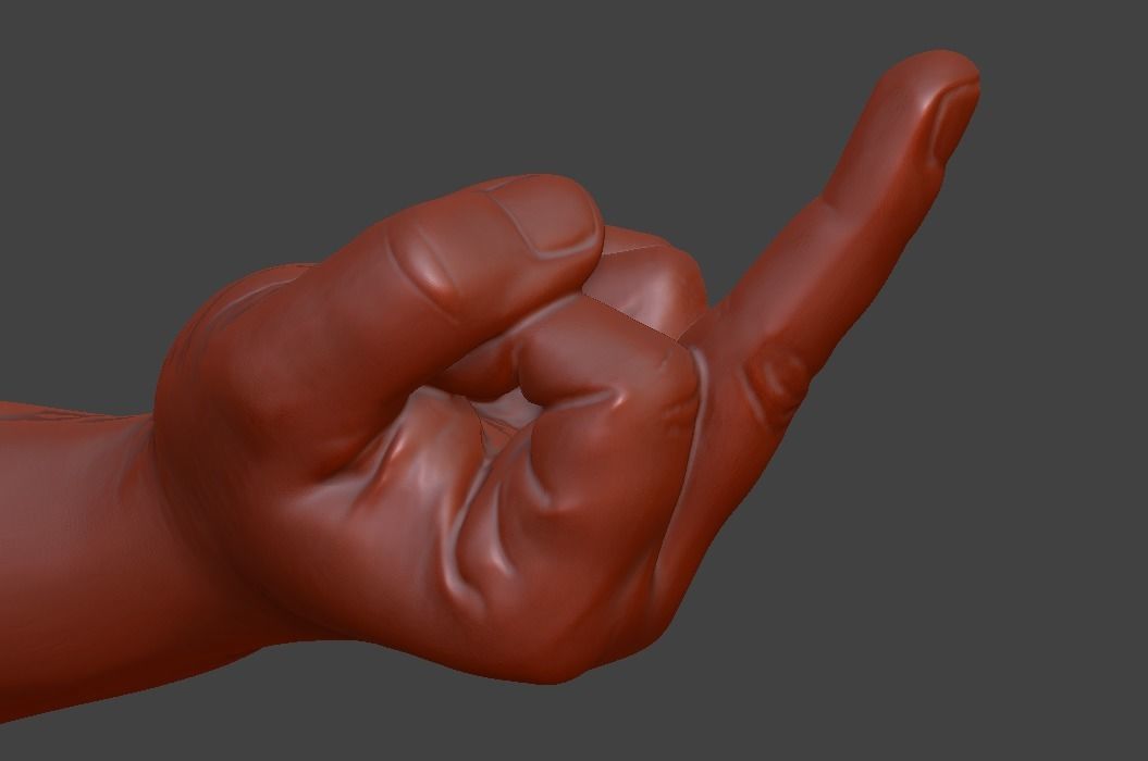 hand middle finger 3D print model_9