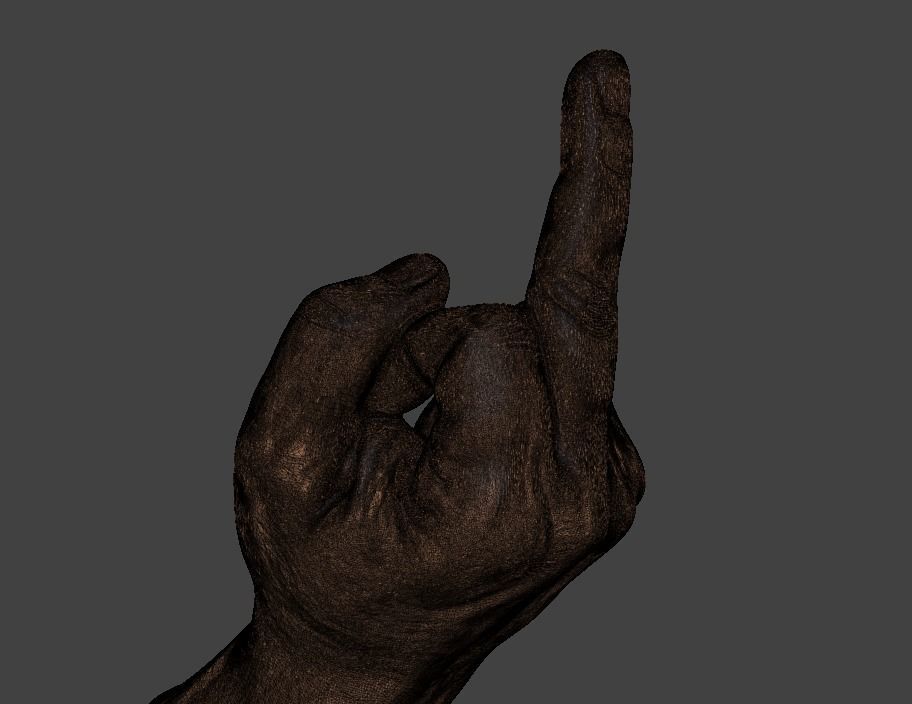 hand middle finger 3D print model_18
