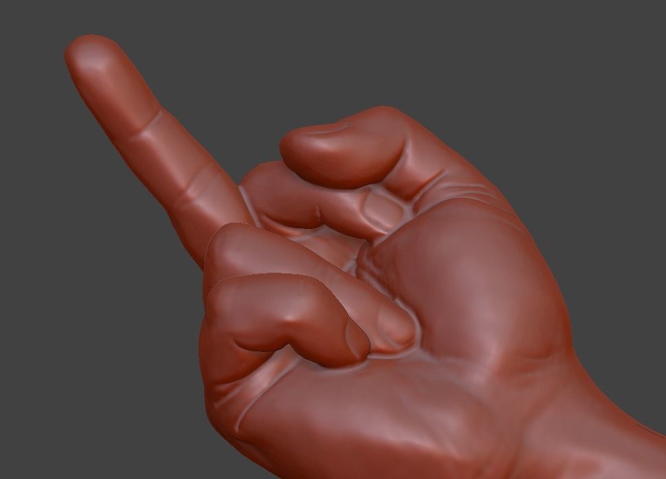 hand middle finger 3D print model_8