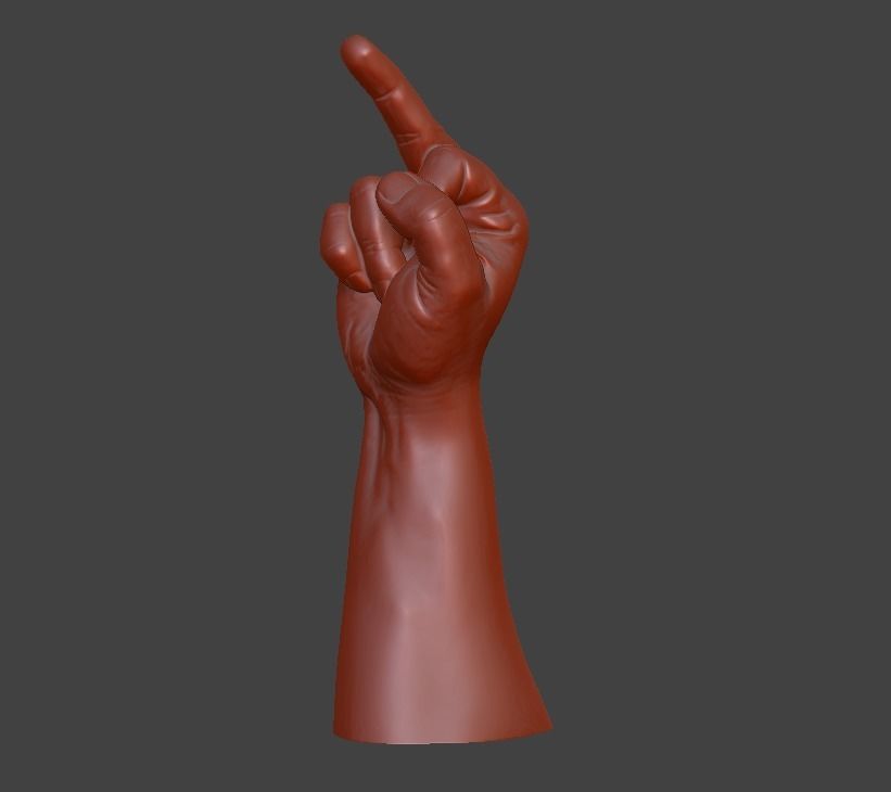 hand middle finger 3D print model_24