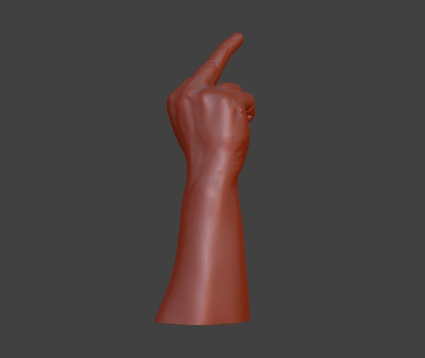 hand middle finger 3D print model_20