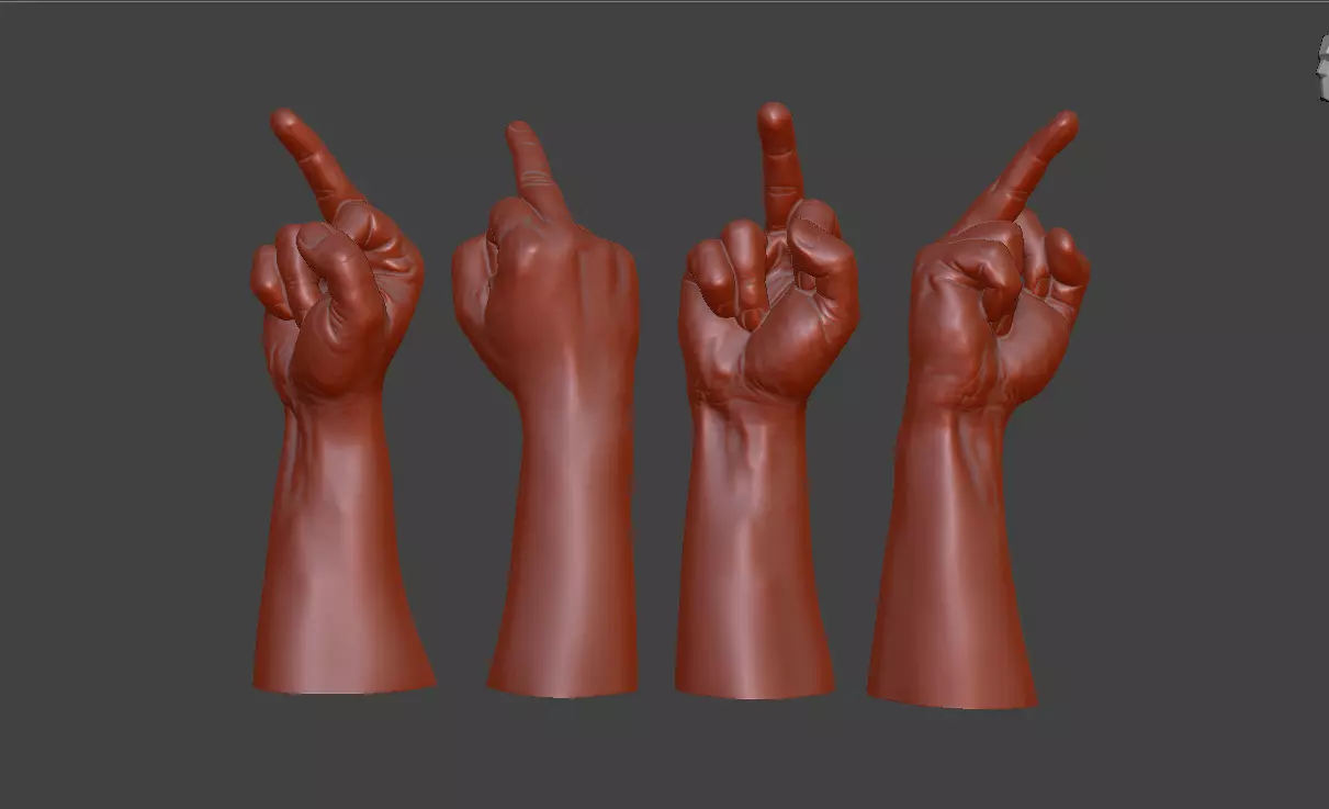 hand middle finger 3D print model_0